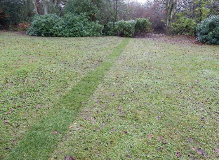 Lawn Drainage with Ditch Management Bramley, Guildford, Surrey, GU5 - Runoff from adjacent fields and neighbouring scrubland with flooding issues causing a permently boggy rear garden lawn.