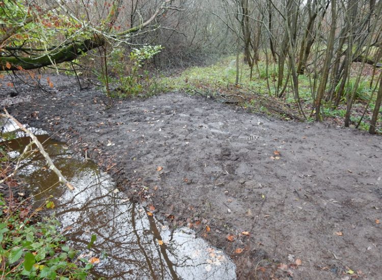 Lawn Drainage with Ditch Management Bramley, Guildford, Surrey, GU5 - Runoff from adjacent fields and neighbouring scrubland with flooding issues causing a permently boggy rear garden lawn. Lawn Drainage with Ditch Management Bramley, Guildford, Surrey, GU5 - Runoff from adjacent fields and neighbouring scrubland with flooding issues causing a permently boggy rear garden lawn.