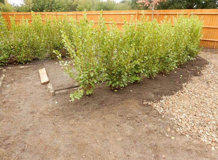 Garden Drainage and Landscaping Bramley, Tadley, Hampshire, RG26 - A new build and garden left with major drainage issues, neglected by the developers. Garden Drainage and Landscaping Bramley, Tadley, Hampshire, RG26 - A new build and garden left with major drainage issues, neglected by the developers.