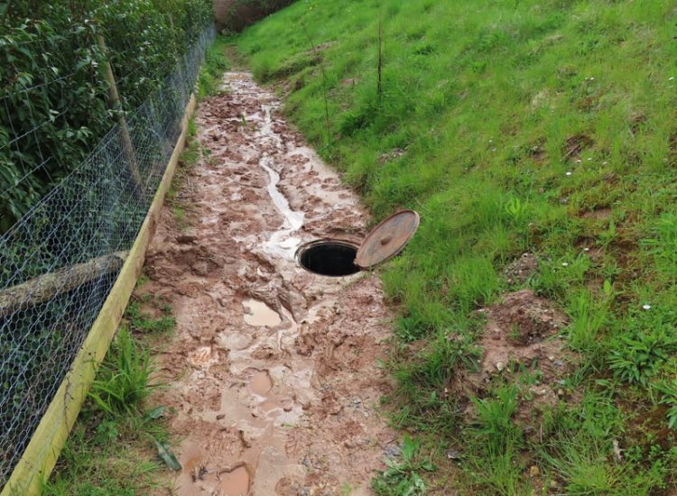 Garden Drainage in Chiddingfold, Godalming, Surrey, GU8 - Failing drainage infrastructure and runoff from a steep emabankment. Garden Drainage in Chiddingfold, Godalming, Surrey, GU8 - Failing drainage infrastructure and runoff from a steep emabankment.