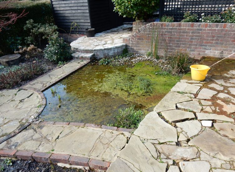 Garden Drainage Haslemere, Surrey, GU27 - A very wet garden due to natural springs and water courses. A typical issue for the area of Haslemere. Garden Drainage Haslemere, Surrey, GU27 - A very wet garden due to natural springs and water courses. A typical issue for the area of Haslemere.