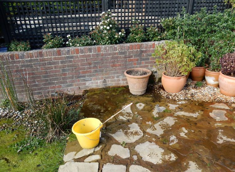 Garden Drainage Haslemere, Surrey, GU27 - A very wet garden due to natural springs and water courses. A typical issue for the area of Haslemere. Garden Drainage Haslemere, Surrey, GU27 - A very wet garden due to natural springs and water courses. A typical issue for the area of Haslemere.