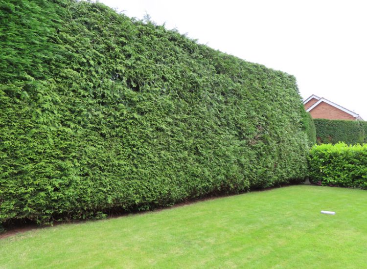 Garden Drainage and Landscaping Sandhurst, Berkshire, GU47 - Garden drainage was part of this project to assist in a new lawn, planting border areas and a new paved terrace. Garden Drainage and Landscaping Sandhurst, Berkshire, GU47 - Garden drainage was part of this project to assist in a new lawn, planting border areas and a new paved terrace.