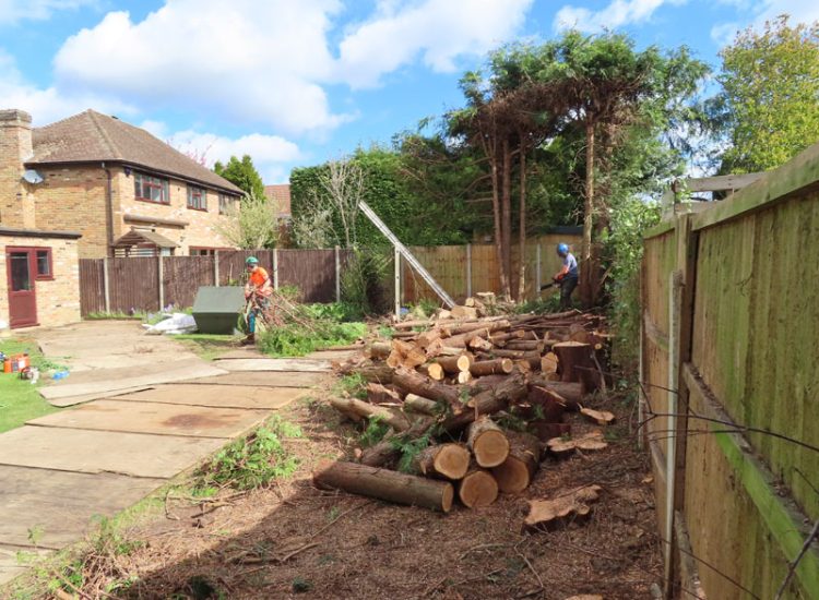 Garden Drainage and Landscaping Sandhurst, Berkshire, GU47 - Garden drainage was part of this project to assist in a new lawn, planting border areas and a new paved terrace. Garden Drainage and Landscaping Sandhurst, Berkshire, GU47 - Garden drainage was part of this project to assist in a new lawn, planting border areas and a new paved terrace.