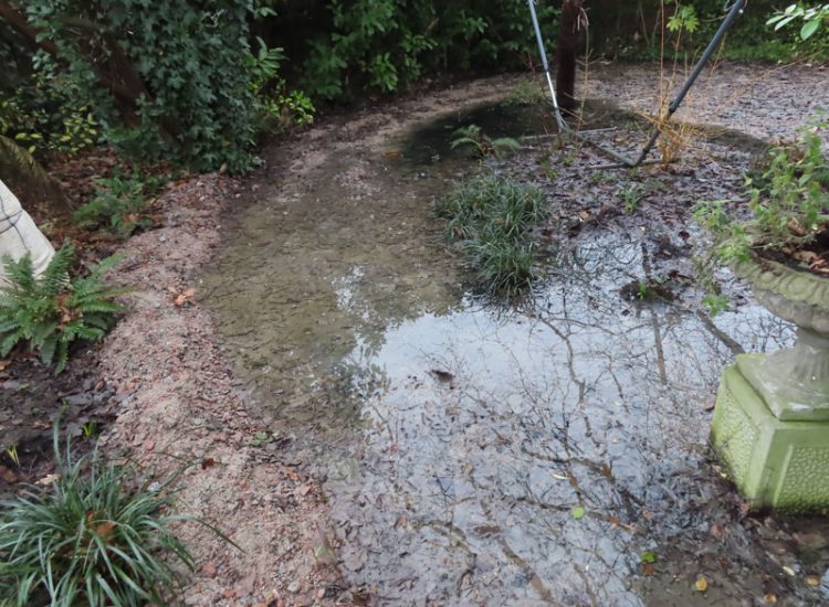 Garden Drainage and Landscaping Surbiton, Greater London, KT6 - A problematic area of garden prone to flooding due to ingress from a neighbouring property. Garden Drainage and Landscaping Surbiton, Greater London, KT6 - A problematic area of garden prone to flooding due to ingress from a neighbouring property.