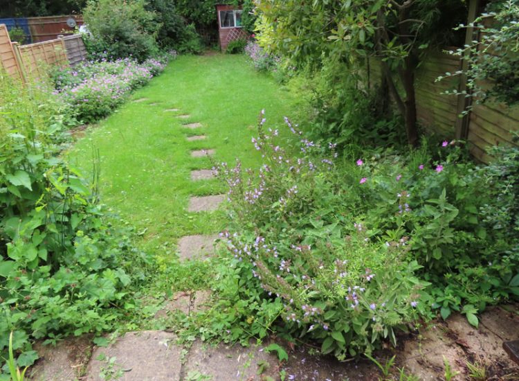 Garden Drainage Oxted, Surrey, RH8 - A small troublesome area residing at the bottom of a garden restricting the clients future plans. Garden Drainage Oxted, Surrey, RH8 - A small troublesome area residing at the bottom of a garden restricting the clients future plans.