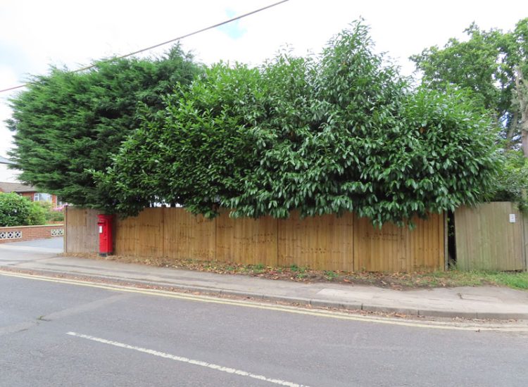 Feather Edge or Close board Fencing Ash Vale, Aldershot, Hampshire, GU12 - New boundary lines created replacing old fencing. Feather Edge or Close board Fencing Ash Vale, Aldershot, Hampshire, GU12 - New boundary lines created replacing old fencing.