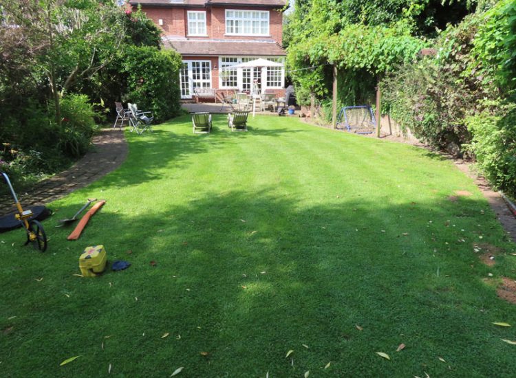 Lawn and Garden Drainage East Finchley, London, N2 - Runoff from allotments causing persistent issues creating unmanagable lawn areas and preventing installation of a garden building. Lawn and Garden Drainage East Finchley, London, N2 - Runoff from allotments causing persistent issues creating unmanagable lawn areas and preventing installation of a garden building.