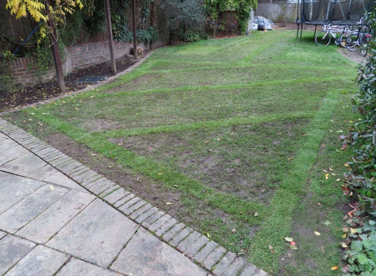 Lawn and Garden Drainage East Finchley, London, N2 - Runoff from allotments causing persistent issues creating unmanagable lawn areas and preventing installation of a garden building.