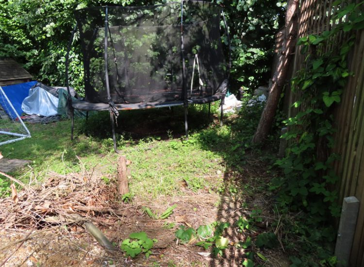 Lawn and Garden Drainage East Finchley, London, N2 - Runoff from allotments causing persistent issues creating unmanagable lawn areas and preventing installation of a garden building. Lawn and Garden Drainage East Finchley, London, N2 - Runoff from allotments causing persistent issues creating unmanagable lawn areas and preventing installation of a garden building.