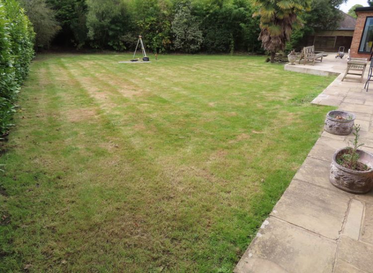 Garden and Lawn Drainage Esher, Surrey, KT10 - A previously installed drainage system which had failed to prevent flooding of lower lawn areas. Garden and Lawn Drainage Esher, Surrey, KT10 - A previously installed drainage system which had failed to prevent flooding of lower lawn areas.