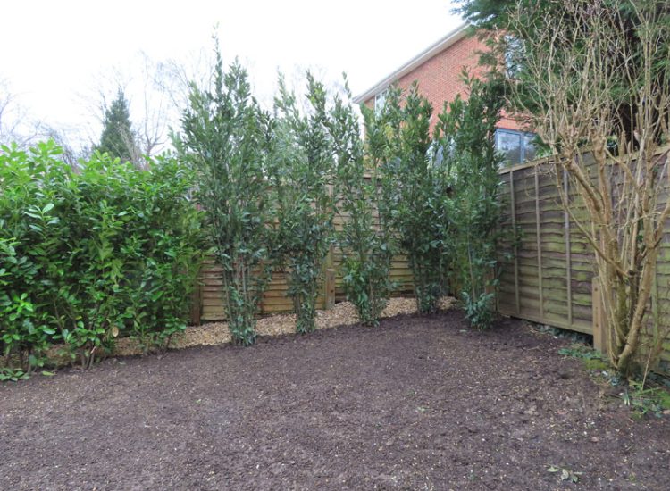 Garden and Lawn Drainage Guildford, Surrey, GU1 - Ingress from neighbouring higher ground caused by tree removal and alterations to levels, leading to flooding around the house.