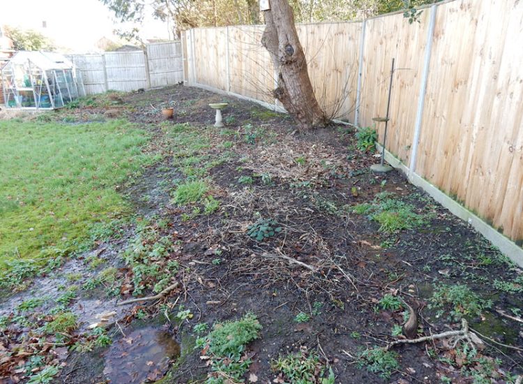 Garden and Lawn Drainage Liss, Hampshire, GU33 - A moderately sized rear garden backing onto and near a pond with its surround set higher than the rear garden. Garden and Lawn Drainage Liss, Hampshire, GU33 - A moderately sized rear garden backing onto and near a pond with its surround set higher than the rear garden.