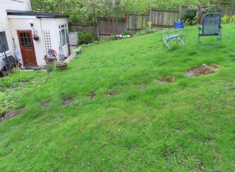 Garden and Lawn Drainage Wimbledon, London, SW19 - Increasing ingress from neighbouring higher ground at the top of this garden causing major issues over border and lawn areas through out the garden. Garden and Lawn Drainage Wimbledon, London, SW19 - Increasing ingress from neighbouring higher ground at the top of this garden causing major issues over border and lawn areas through out the garden.