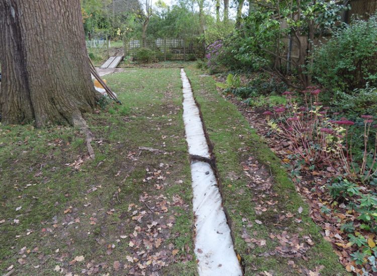 Garden and Lawn Drainage Wimbledon, London, SW19 - Increasing ingress from neighbouring higher ground at the top of this garden causing major issues over border and lawn areas through out the garden. Garden and Lawn Drainage Wimbledon, London, SW19 - Increasing ingress from neighbouring higher ground at the top of this garden causing major issues over border and lawn areas through out the garden.