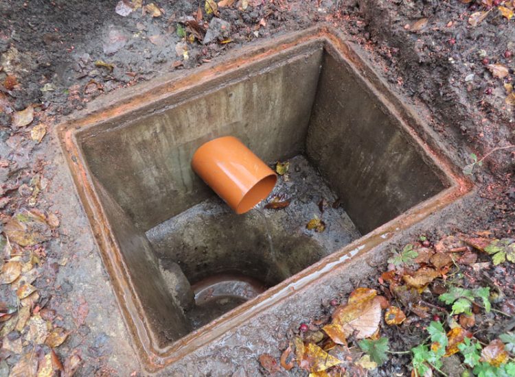 Garden and Lawn Drainage Wimbledon, London, SW19 - Increasing ingress from neighbouring higher ground at the top of this garden causing major issues over border and lawn areas through out the garden. Garden and Lawn Drainage Wimbledon, London, SW19 - Increasing ingress from neighbouring higher ground at the top of this garden causing major issues over border and lawn areas through out the garden.