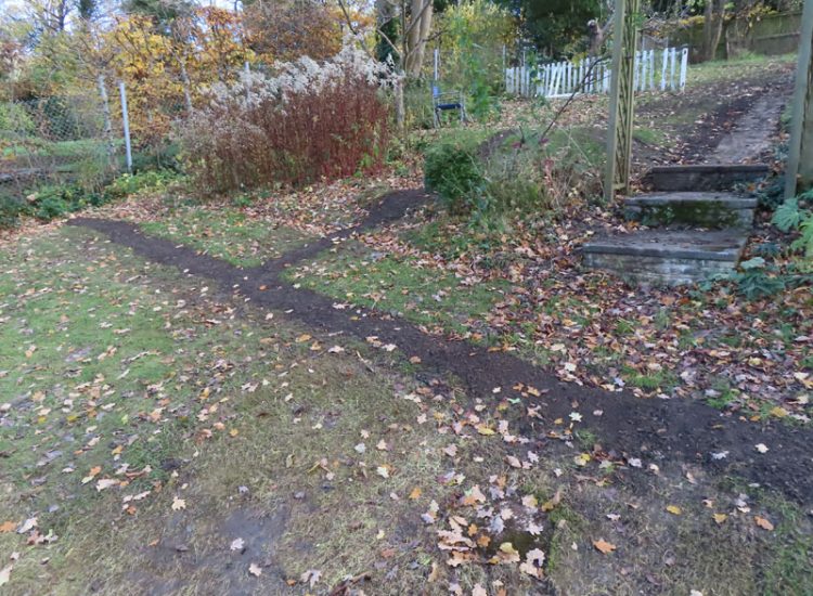 Garden and Lawn Drainage Wimbledon, London, SW19 - Increasing ingress from neighbouring higher ground at the top of this garden causing major issues over border and lawn areas through out the garden. Garden and Lawn Drainage Wimbledon, London, SW19 - Increasing ingress from neighbouring higher ground at the top of this garden causing major issues over border and lawn areas through out the garden.