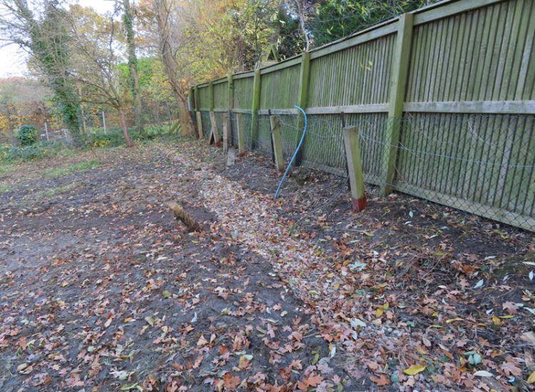 Garden and Lawn Drainage Wimbledon, London, SW19 - Increasing ingress from neighbouring higher ground at the top of this garden causing major issues over border and lawn areas through out the garden.