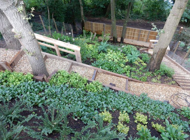 Garden Planting Farnham, Surrey, GU9 - Three areas of planting for this extensive project, embankment planting, rear garden and front driveway areas. Garden Planting Farnham, Surrey, GU9 - Three areas of planting for this extensive project, embankment planting, rear garden and front driveway areas.