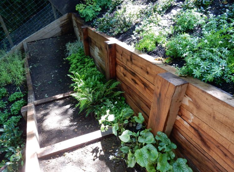 Garden Planting Farnham, Surrey, GU9 - Three areas of planting for this extensive project, embankment planting, rear garden and front driveway areas. Garden Planting Farnham, Surrey, GU9 - Three areas of planting for this extensive project, embankment planting, rear garden and front driveway areas.