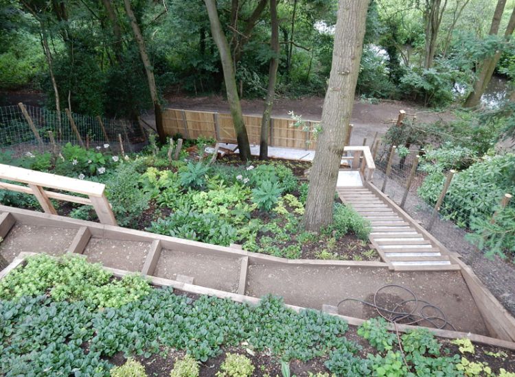 Garden Planting Farnham, Surrey, GU9 - Three areas of planting for this extensive project, embankment planting, rear garden and front driveway areas. Garden Planting Farnham, Surrey, GU9 - Three areas of planting for this extensive project, embankment planting, rear garden and front driveway areas.