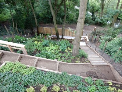 Garden Planting Farnham, Surrey, GU9 - Three areas of planting for this extensive project, embankment planting, rear garden and front driveway areas. Garden Planting Farnham, Surrey, GU9 - Three areas of planting for this extensive project, embankment planting, rear garden and front driveway areas.