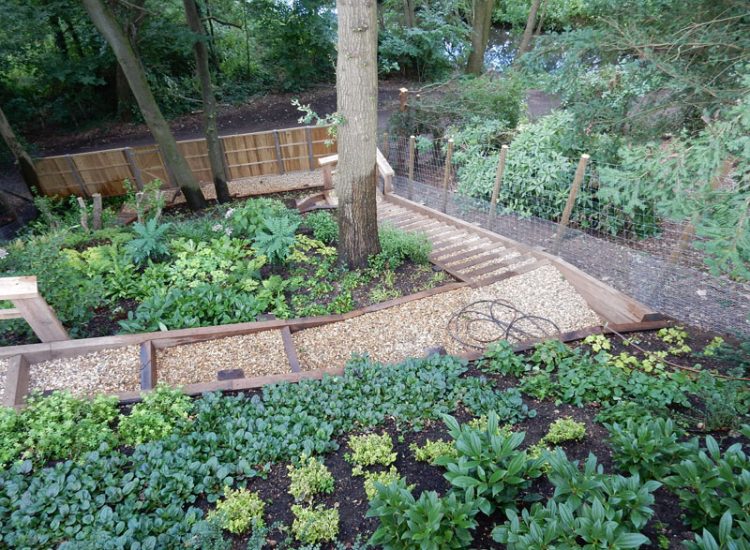 Garden Planting Farnham, Surrey, GU9 - Three areas of planting for this extensive project, embankment planting, rear garden and front driveway areas. Garden Planting Farnham, Surrey, GU9 - Three areas of planting for this extensive project, embankment planting, rear garden and front driveway areas.