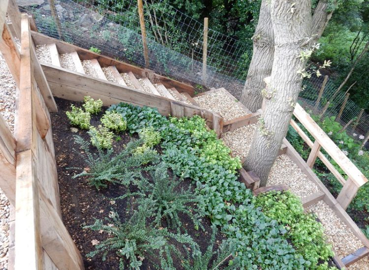 Garden Planting Farnham, Surrey, GU9 - Three areas of planting for this extensive project, embankment planting, rear garden and front driveway areas. Garden Planting Farnham, Surrey, GU9 - Three areas of planting for this extensive project, embankment planting, rear garden and front driveway areas.