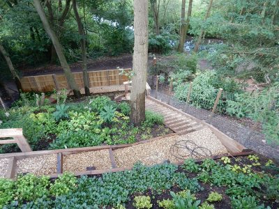 Garden Planting Farnham, Surrey, GU9 - Three areas of planting for this extensive project, embankment planting, rear garden and front driveway areas. Garden Planting Farnham, Surrey, GU9 - Three areas of planting for this extensive project, embankment planting, rear garden and front driveway areas.