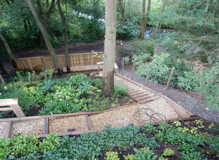 Garden Planting Farnham, Surrey, GU9 - Three areas of planting for this extensive project, embankment planting, rear garden and front driveway areas. Garden Planting Farnham, Surrey, GU9 - Three areas of planting for this extensive project, embankment planting, rear garden and front driveway areas.