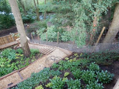 Garden Planting Farnham, Surrey, GU9 - Three areas of planting for this extensive project, embankment planting, rear garden and front driveway areas. Garden Planting Farnham, Surrey, GU9 - Three areas of planting for this extensive project, embankment planting, rear garden and front driveway areas.