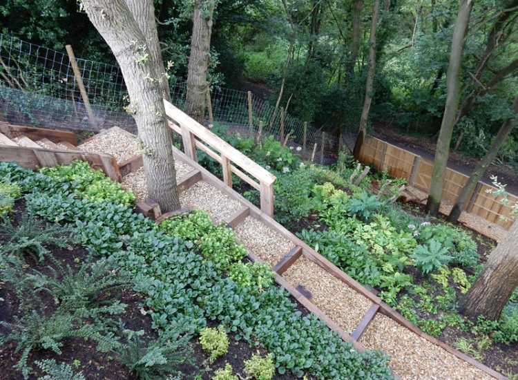 Garden Planting Farnham, Surrey, GU9 - Three areas of planting for this extensive project, embankment planting, rear garden and front driveway areas. Garden Planting Farnham, Surrey, GU9 - Three areas of planting for this extensive project, embankment planting, rear garden and front driveway areas.