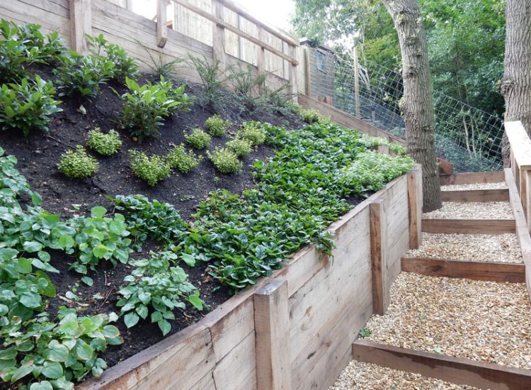 Garden Planting Farnham, Surrey, GU9 - Three areas of planting for this extensive project, embankment planting, rear garden and front driveway areas. Garden Planting Farnham, Surrey, GU9 - Three areas of planting for this extensive project, embankment planting, rear garden and front driveway areas.