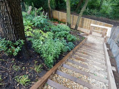 Garden Planting Farnham, Surrey, GU9 - Three areas of planting for this extensive project, embankment planting, rear garden and front driveway areas. Garden Planting Farnham, Surrey, GU9 - Three areas of planting for this extensive project, embankment planting, rear garden and front driveway areas.