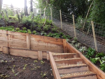 Garden Planting Farnham, Surrey, GU9 - Three areas of planting for this extensive project, embankment planting, rear garden and front driveway areas. Garden Planting Farnham, Surrey, GU9 - Three areas of planting for this extensive project, embankment planting, rear garden and front driveway areas.