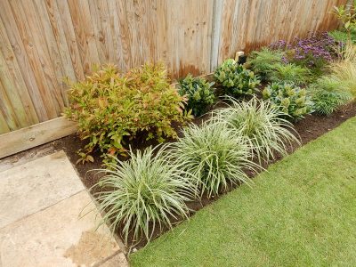 Garden Planting Farnham, Surrey, GU9 - Three areas of planting for this extensive project, embankment planting, rear garden and front driveway areas. Garden Planting Farnham, Surrey, GU9 - Three areas of planting for this extensive project, embankment planting, rear garden and front driveway areas.