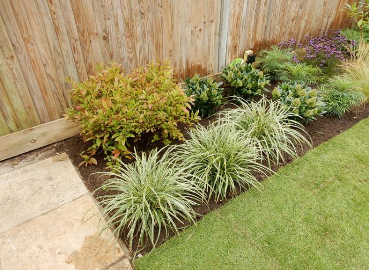 Garden Planting Farnham, Surrey, GU9 - Three areas of planting for this extensive project, embankment planting, rear garden and front driveway areas. Garden Planting Farnham, Surrey, GU9 - Three areas of planting for this extensive project, embankment planting, rear garden and front driveway areas.