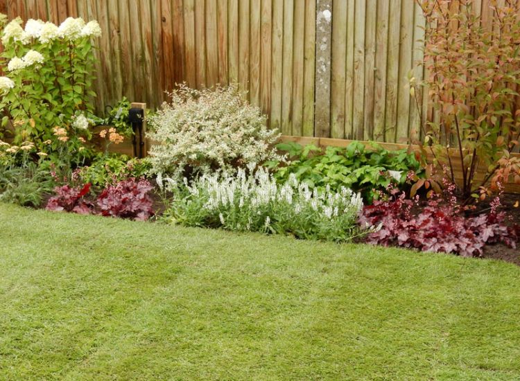 Garden Planting Farnham, Surrey, GU9 - Three areas of planting for this extensive project, embankment planting, rear garden and front driveway areas. Garden Planting Farnham, Surrey, GU9 - Three areas of planting for this extensive project, embankment planting, rear garden and front driveway areas.