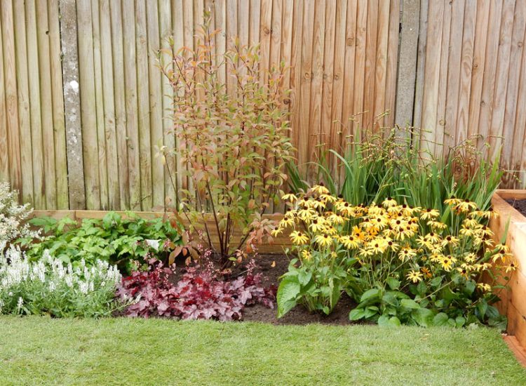 Garden Planting Farnham, Surrey, GU9 - Three areas of planting for this extensive project, embankment planting, rear garden and front driveway areas. Garden Planting Farnham, Surrey, GU9 - Three areas of planting for this extensive project, embankment planting, rear garden and front driveway areas.