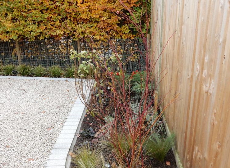 Garden Planting Farnham, Surrey, GU9 - Three areas of planting for this extensive project, embankment planting, rear garden and front driveway areas.