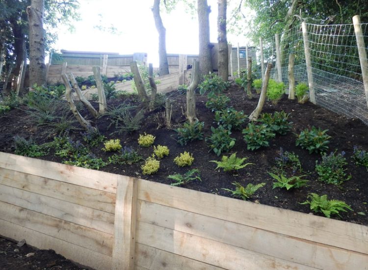 Garden Planting Farnham, Surrey, GU9 - Three areas of planting for this extensive project, embankment planting, rear garden and front driveway areas. Garden Planting Farnham, Surrey, GU9 - Three areas of planting for this extensive project, embankment planting, rear garden and front driveway areas.