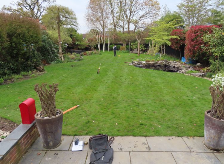 Lawn Drainage Cobham, Surrey, KT11 - With a clay based soil medium, this clients lawn was getting more and more difficult to manage and maintain, along with problems related to a small pond area. Lawn Drainage Cobham, Surrey, KT11 - With a clay based soil medium, this clients lawn was getting more and more difficult to manage and maintain, along with problems related to a small pond area.