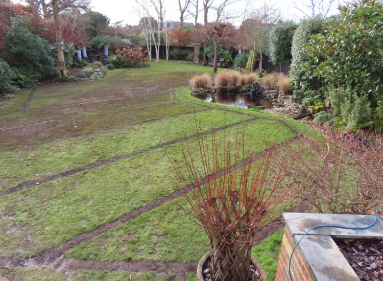 Lawn Drainage Cobham, Surrey, KT11 - With a clay based soil medium, this clients lawn was getting more and more difficult to manage and maintain, along with problems related to a small pond area. Lawn Drainage Cobham, Surrey, KT11 - With a clay based soil medium, this clients lawn was getting more and more difficult to manage and maintain, along with problems related to a small pond area.