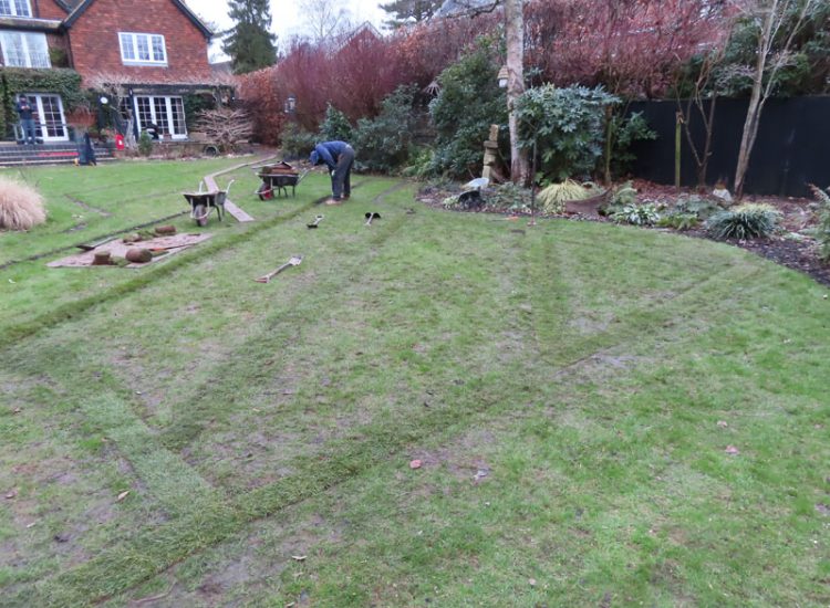 Lawn Drainage Cobham, Surrey, KT11 - With a clay based soil medium, this clients lawn was getting more and more difficult to manage and maintain, along with problems related to a small pond area.