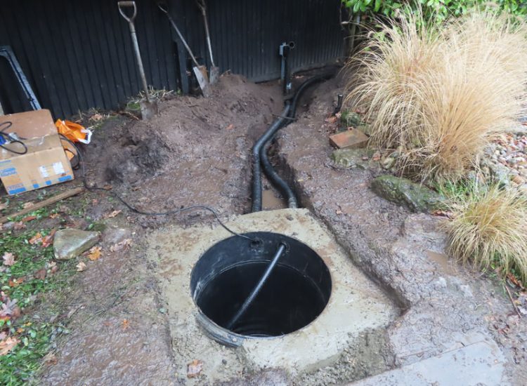 Lawn Drainage Cobham, Surrey, KT11 - With a clay based soil medium, this clients lawn was getting more and more difficult to manage and maintain, along with problems related to a small pond area. Lawn Drainage Cobham, Surrey, KT11 - With a clay based soil medium, this clients lawn was getting more and more difficult to manage and maintain, along with problems related to a small pond area.