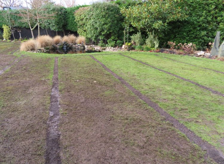 Lawn Drainage Cobham, Surrey, KT11 - With a clay based soil medium, this clients lawn was getting more and more difficult to manage and maintain, along with problems related to a small pond area. Lawn Drainage Cobham, Surrey, KT11 - With a clay based soil medium, this clients lawn was getting more and more difficult to manage and maintain, along with problems related to a small pond area.