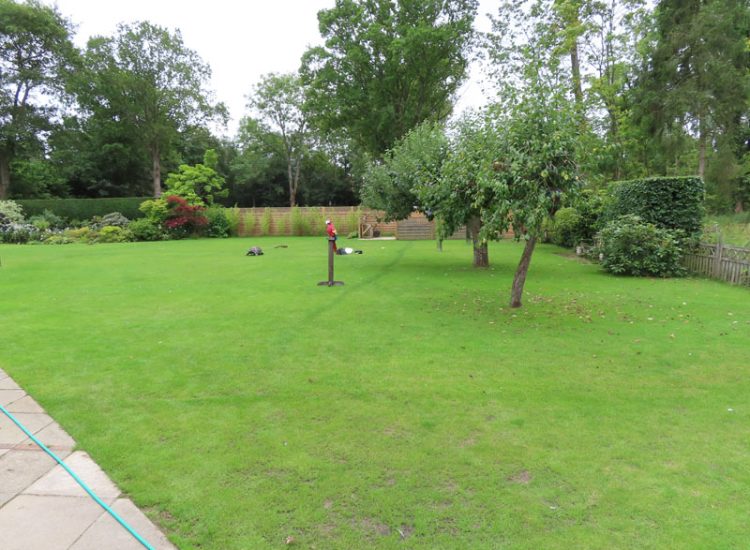 Lawn Drainage Guildford, Surrey, GU4 - Substatial lawn areas suffering from drainage issues caused by runoff and ingress from neighbouring open land and the clay based soil type. Lawn Drainage Guildford, Surrey, GU4 - Substatial lawn areas suffering from drainage issues caused by runoff and ingress from neighbouring open land and the clay based soil type.