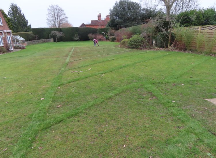 Lawn Drainage Guildford, Surrey, GU4 - Substatial lawn areas suffering from drainage issues caused by runoff and ingress from neighbouring open land and the clay based soil type.