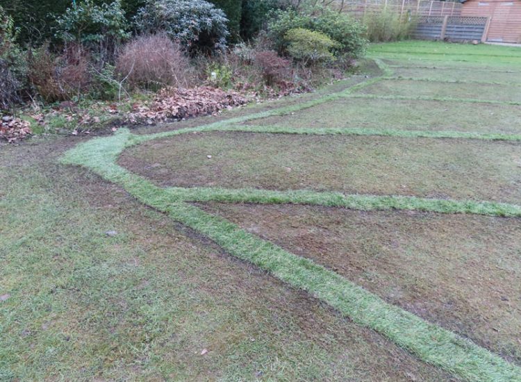 Lawn Drainage Guildford, Surrey, GU4 - Substatial lawn areas suffering from drainage issues caused by runoff and ingress from neighbouring open land and the clay based soil type.