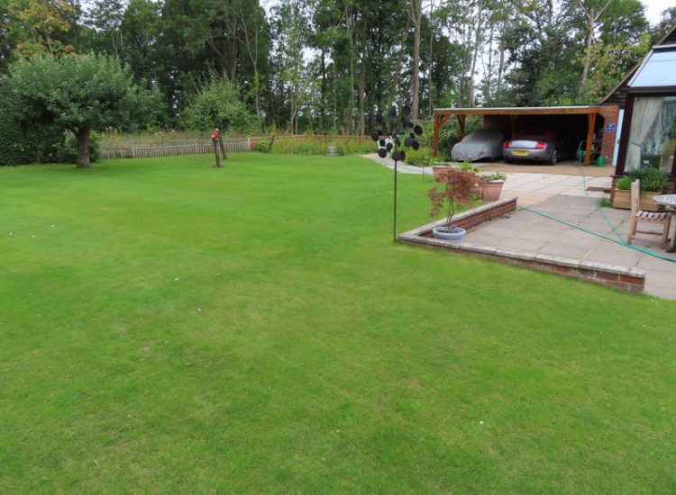 Lawn Drainage Guildford, Surrey, GU4 - Substatial lawn areas suffering from drainage issues caused by runoff and ingress from neighbouring open land and the clay based soil type. Lawn Drainage Guildford, Surrey, GU4 - Substatial lawn areas suffering from drainage issues caused by runoff and ingress from neighbouring open land and the clay based soil type.